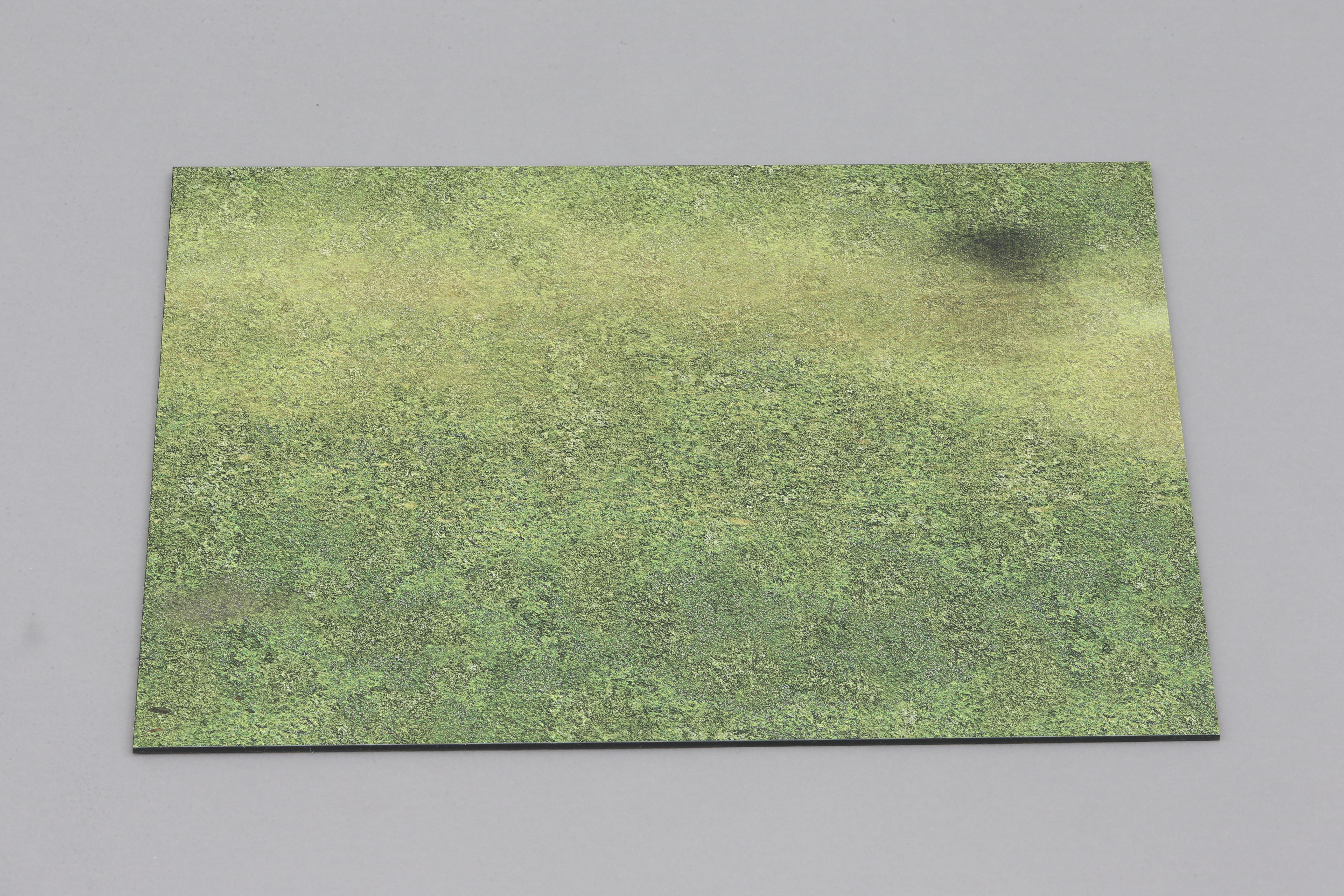  Product image 1 of the product “Small Grass  Mat 1:30 ”