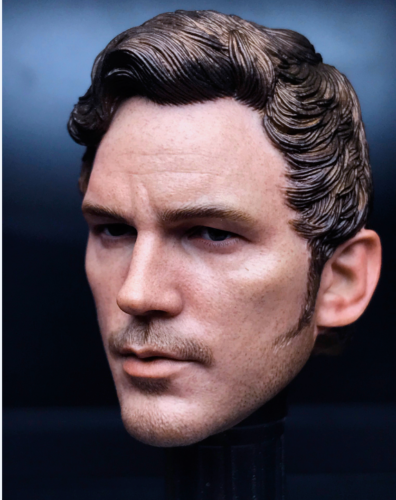  Product image 1 of the product “1/6 Chris Pratt Head ”