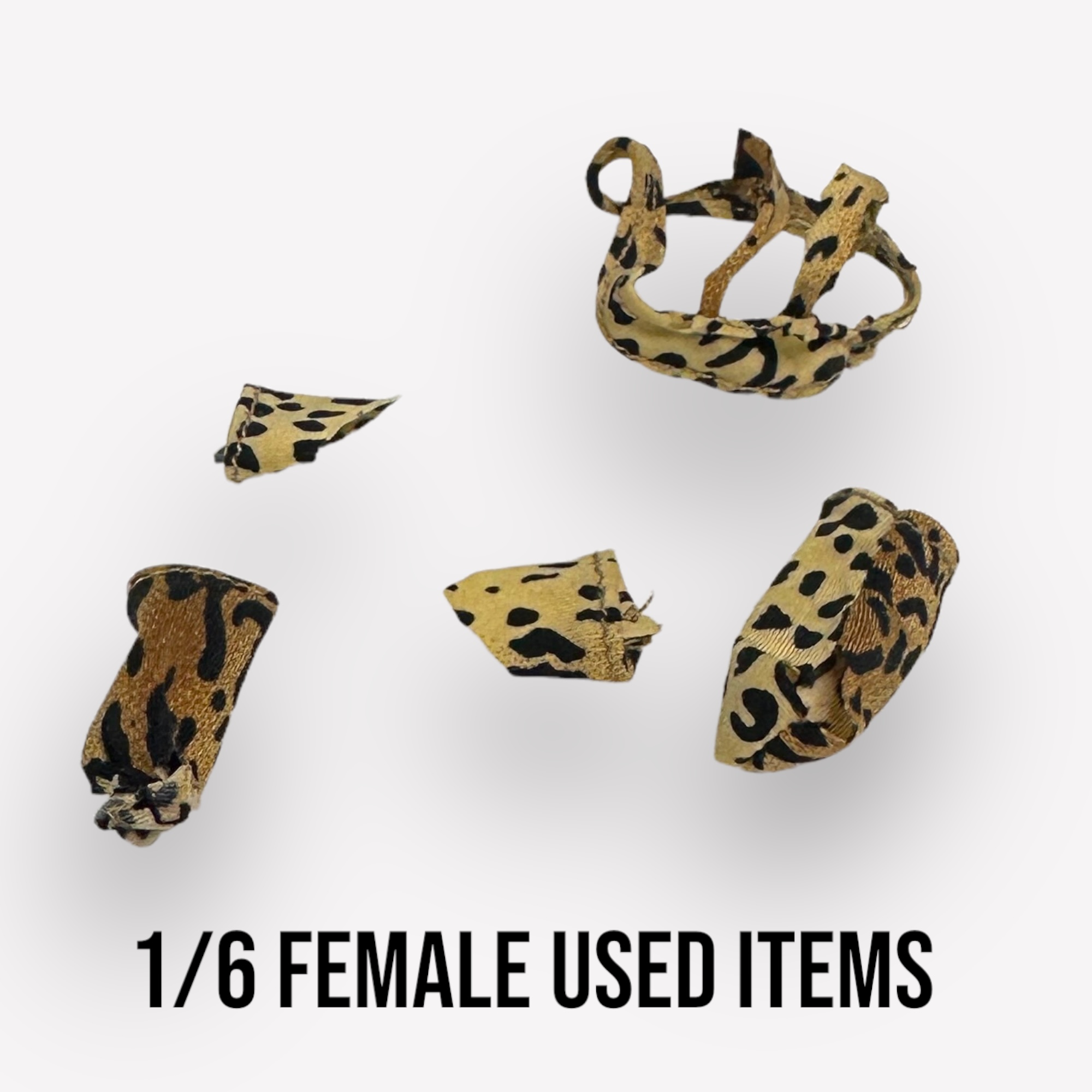 Product image 1 of the product “Tiger Div  Top  1/6 ”