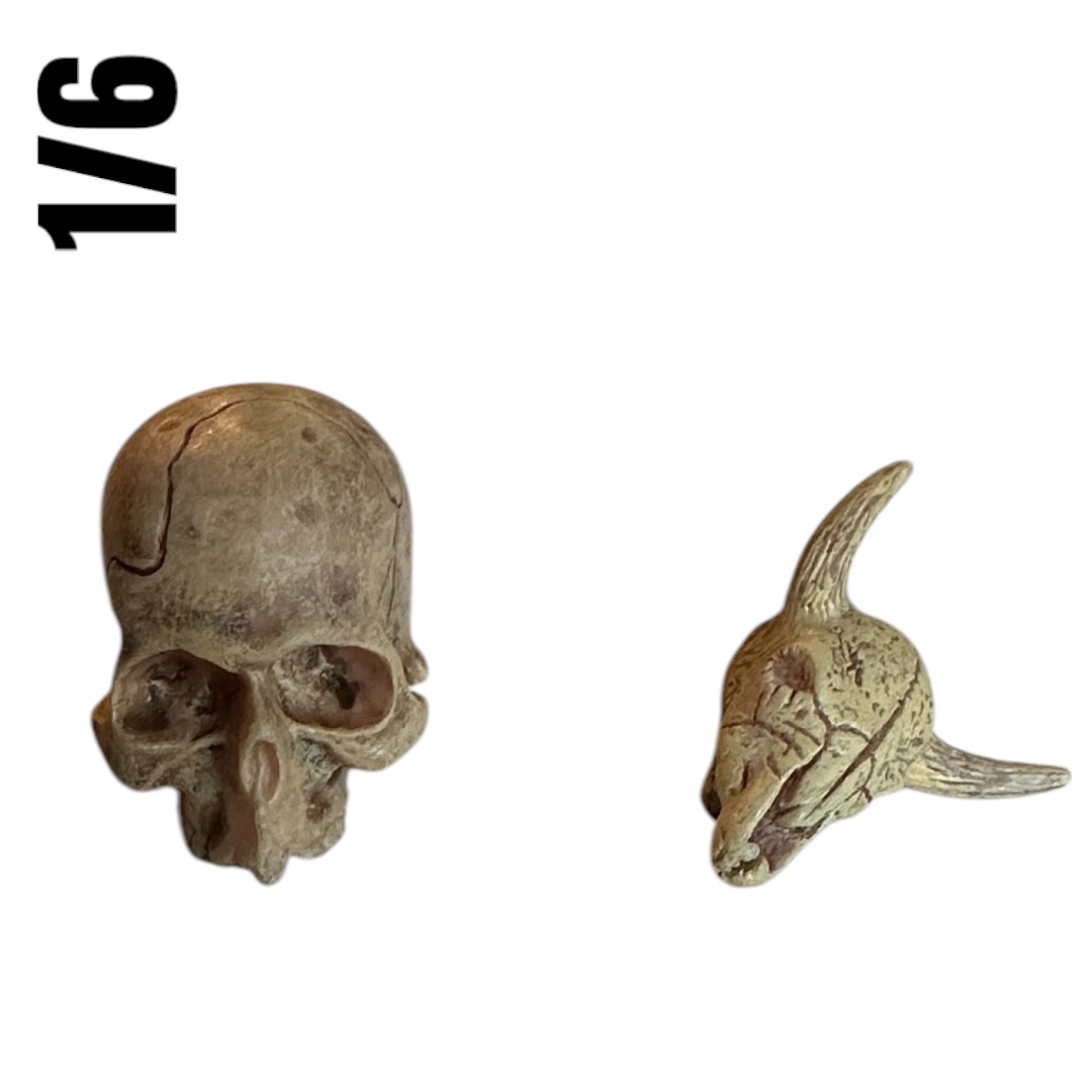  Artikelbild 1 des Artikels “1/6  Skull Set “