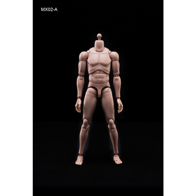  Product image 1 of the product “1/6 Male Body (narrow shoulders) ”