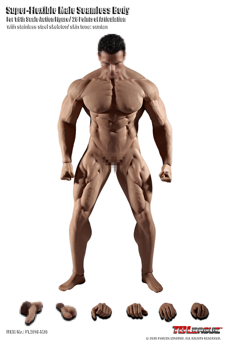  Product image 1 of the product “Seamless Ultra Muscle Body M35 1/6 ”