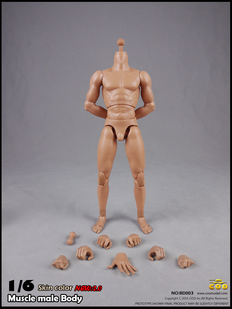  Product image 1 of the product “1/6 2.0 Long Neck male Body HIGH (narrow shoulders) ”