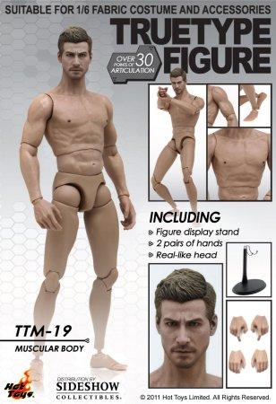  Artikelbild 1 des Artikels “TrueType Figure body - TTM19, Caucasian Male (Narrow Shoulder) “