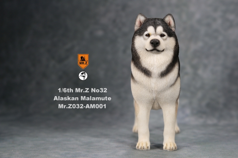  Artikelbild 1 des Artikels “Alaskan Malamute Dog (Black) 1:6 “