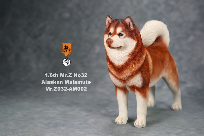  Artikelbild 1 des Artikels “Alaskan Malamute Dog (Orange) 1:6 “