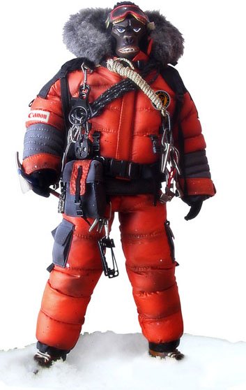  Artikelbild 1 des Artikels “Apexplorer - JUNGLE Hot Toys “