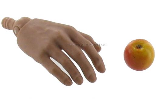  Artikelbild 1 des Artikels “Apfel “