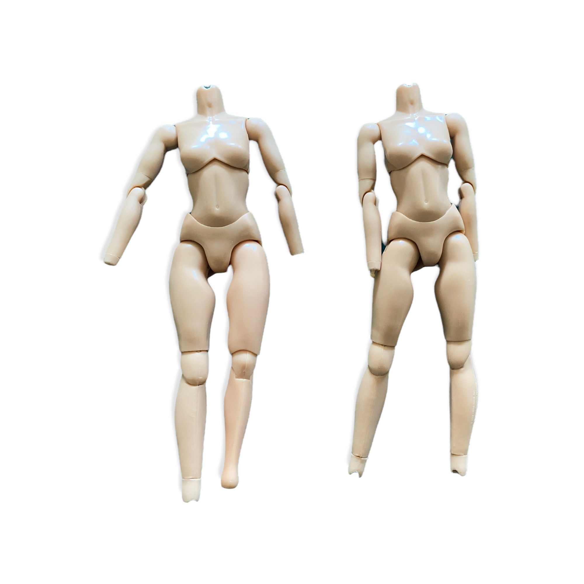  Artikelbild 1 des Artikels “Evalution (EVA) Caucasian Body (2) “