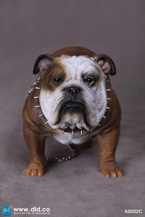  Artikelbild 1 des Artikels “British Bulldog (Brown) 1:6 “