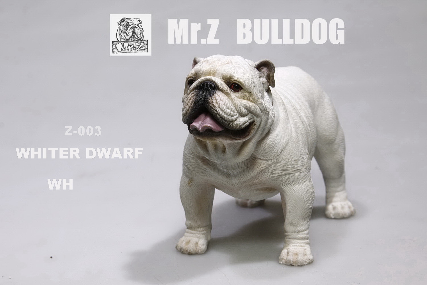  Product image 1 of the product “English Bulldog Whiter Dwarf 1/6 ”