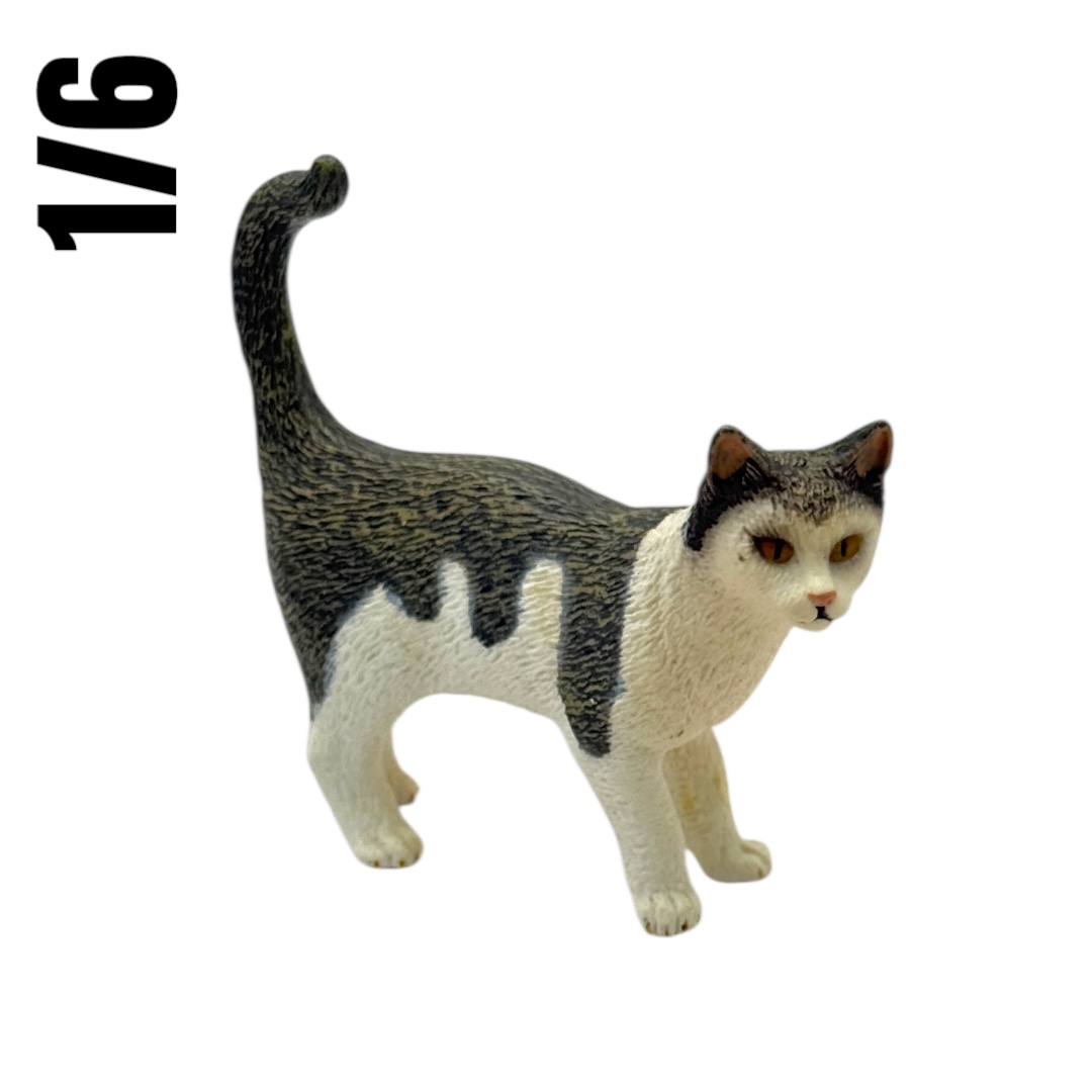  Artikelbild 1 des Artikels “Cat (2 Color) 1/6 “