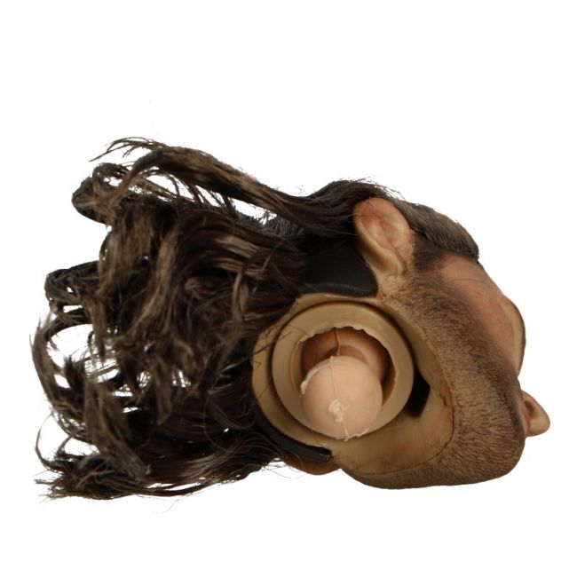  Artikelbild 1 des Artikels “William - Scottish Highlands - War Paint Head “