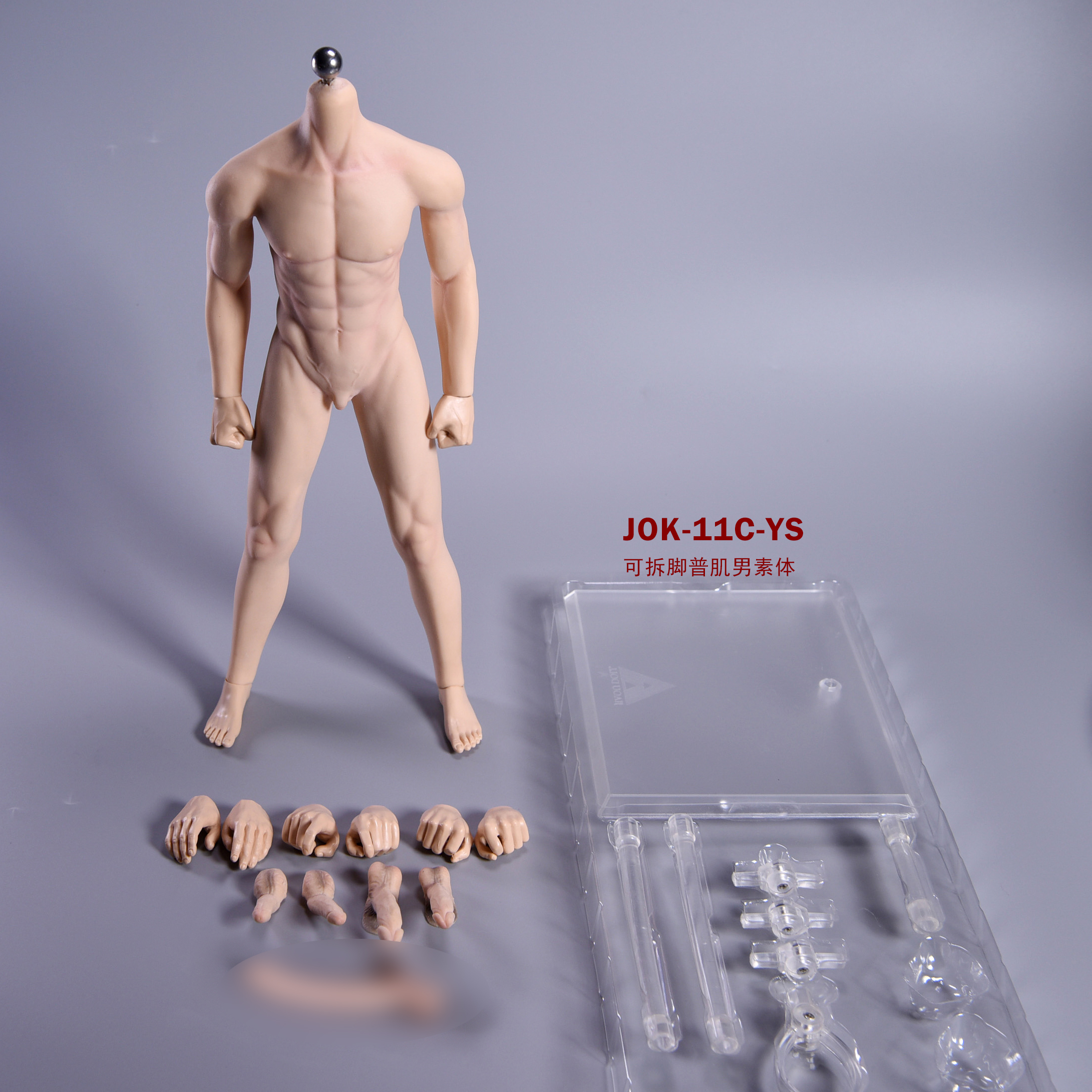  Product image 1 of the product “Caucasian Seamless Male Body Seamless Male Body 1/6 ”