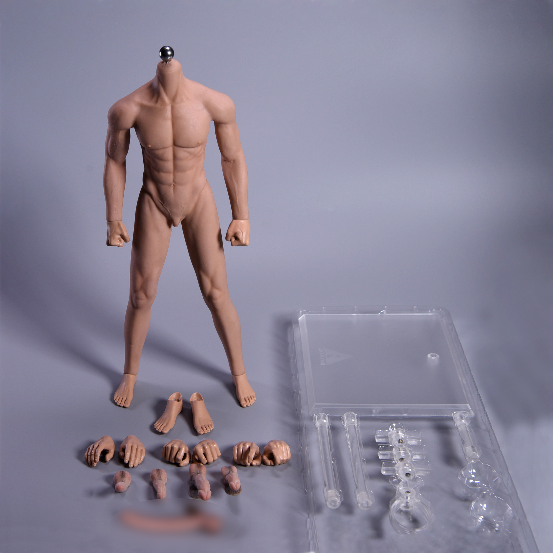  Artikelbild 1 des Artikels “Caucasian Seamless Male Body 1:6 “