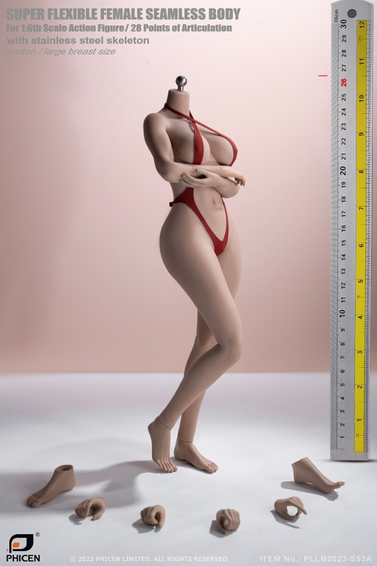  Artikelbild 1 des Artikels “Caucasian Suntan Female Super Flexible Seamless Body (Large Bust) “