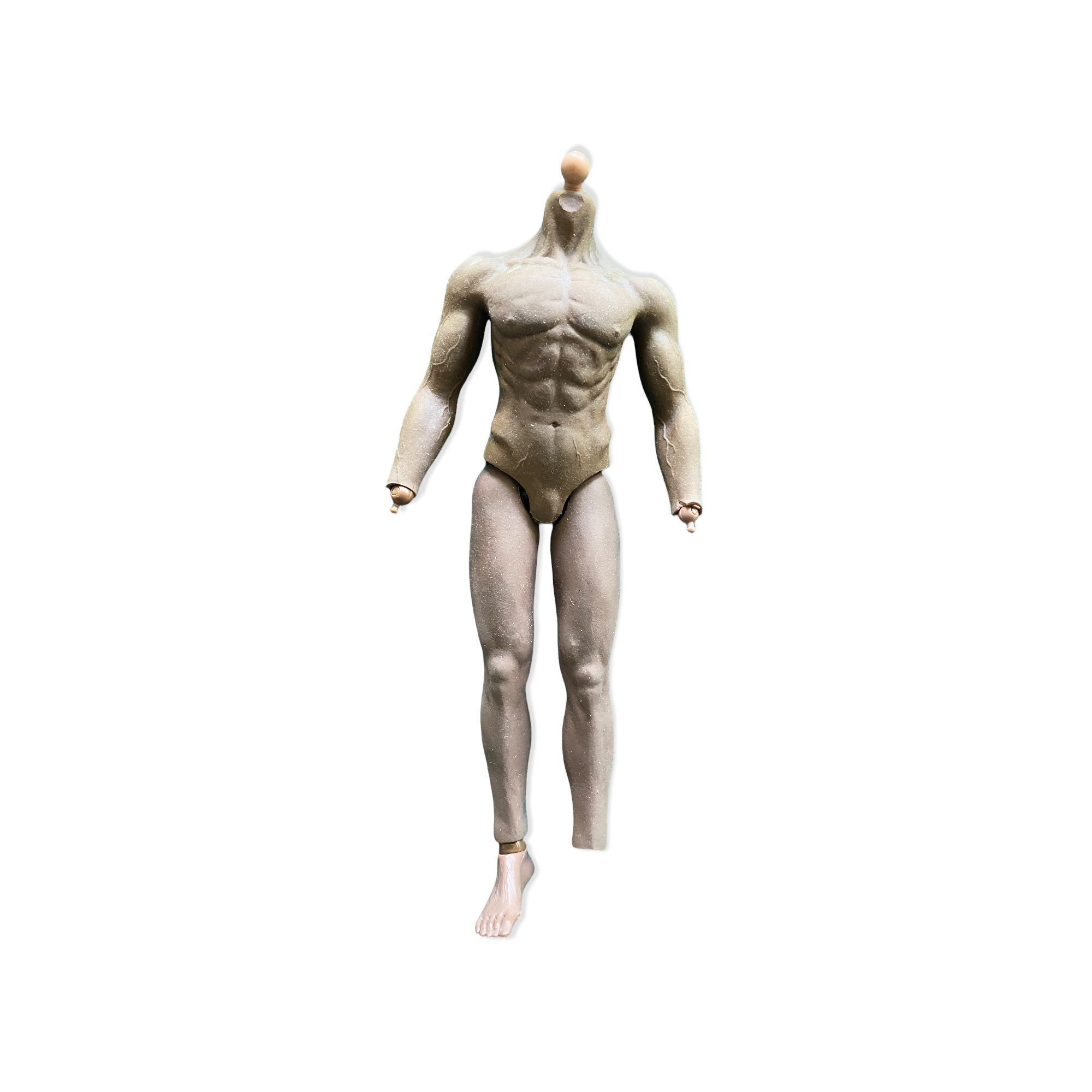  Artikelbild 1 des Artikels “Muscle Body Suntan 1/6 “