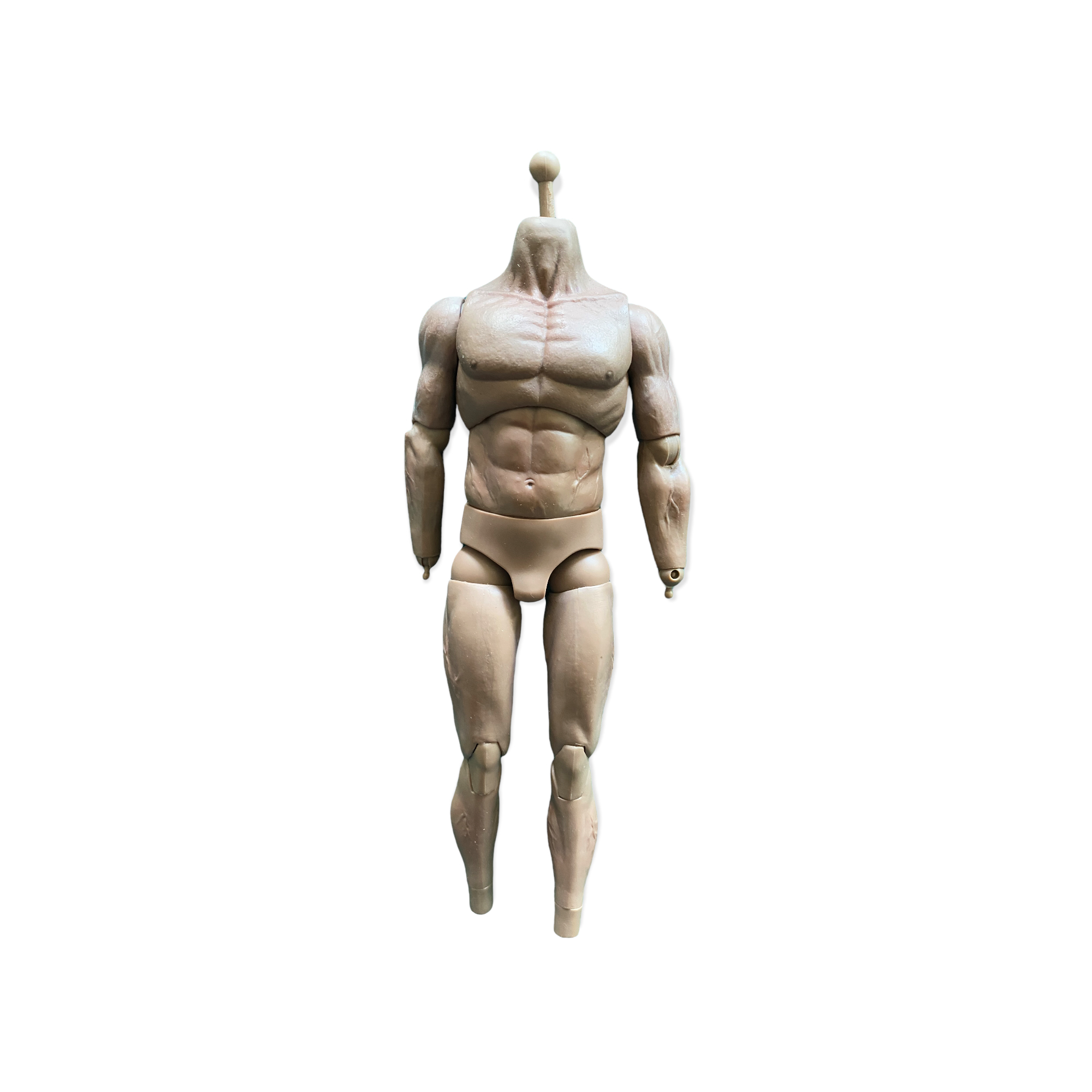  Artikelbild 1 des Artikels “Muscle Body Suntan 1/6 “