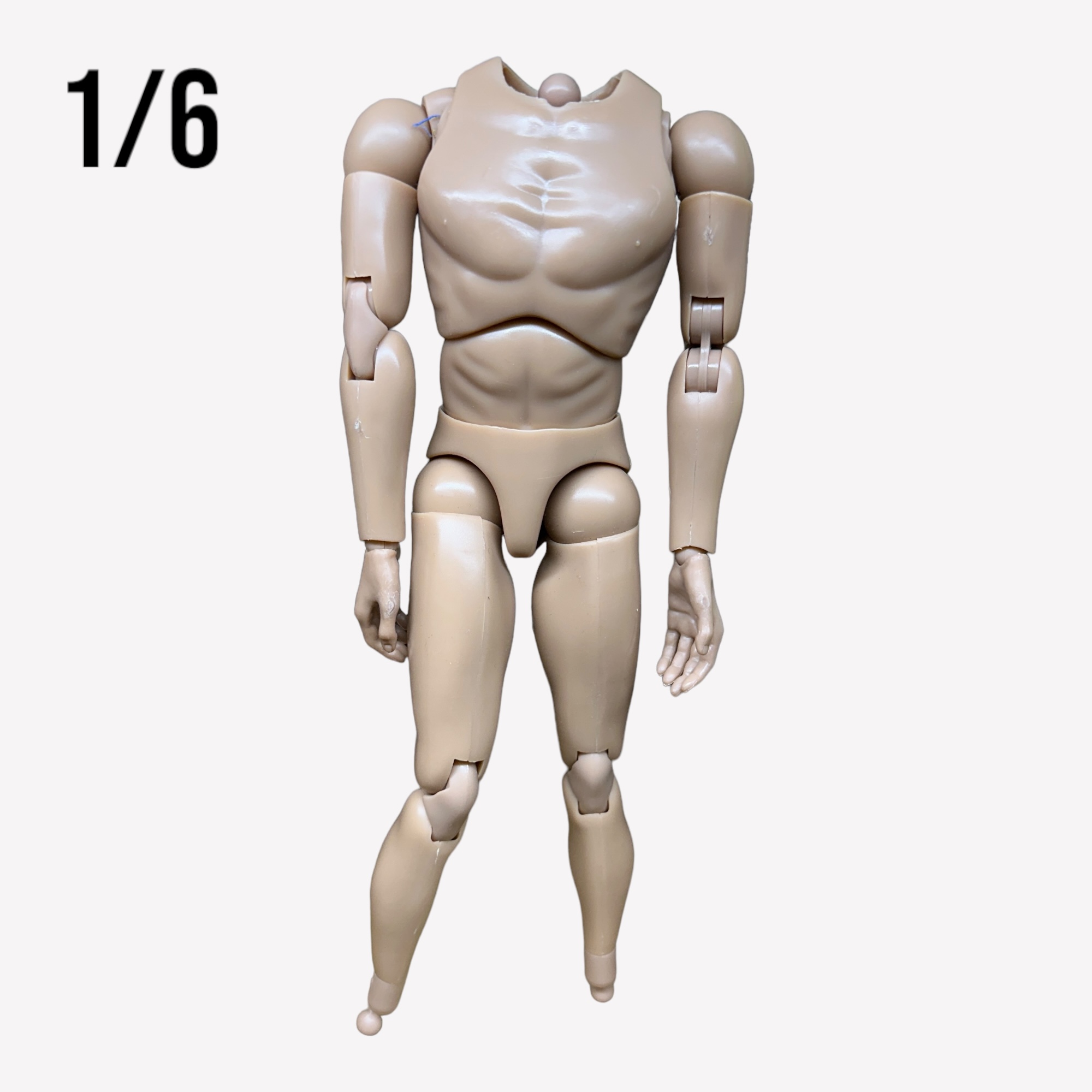  Product image 1 of the product “Costum Body  Basic 1/6 ”