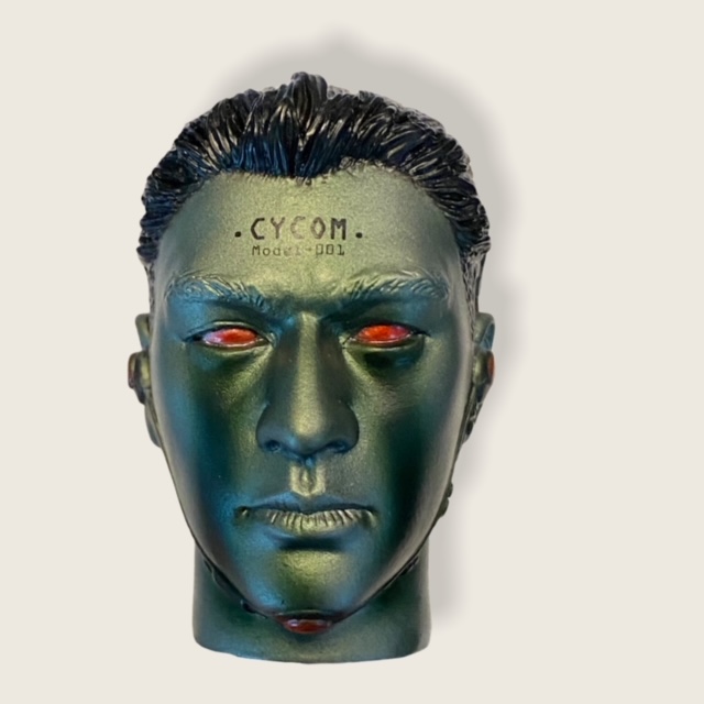  Product image 1 of the product “Cyborg Head Model 01  1/6 ”