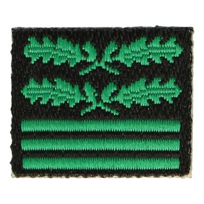  Product image 1 of the product “Standartenführer Sleeve Rank (Green) 1/6 ”