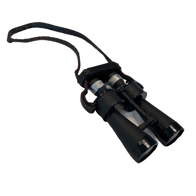  Product image 1 of the product “Doppel Fernglas in Schwarz mit Okularschutz ”