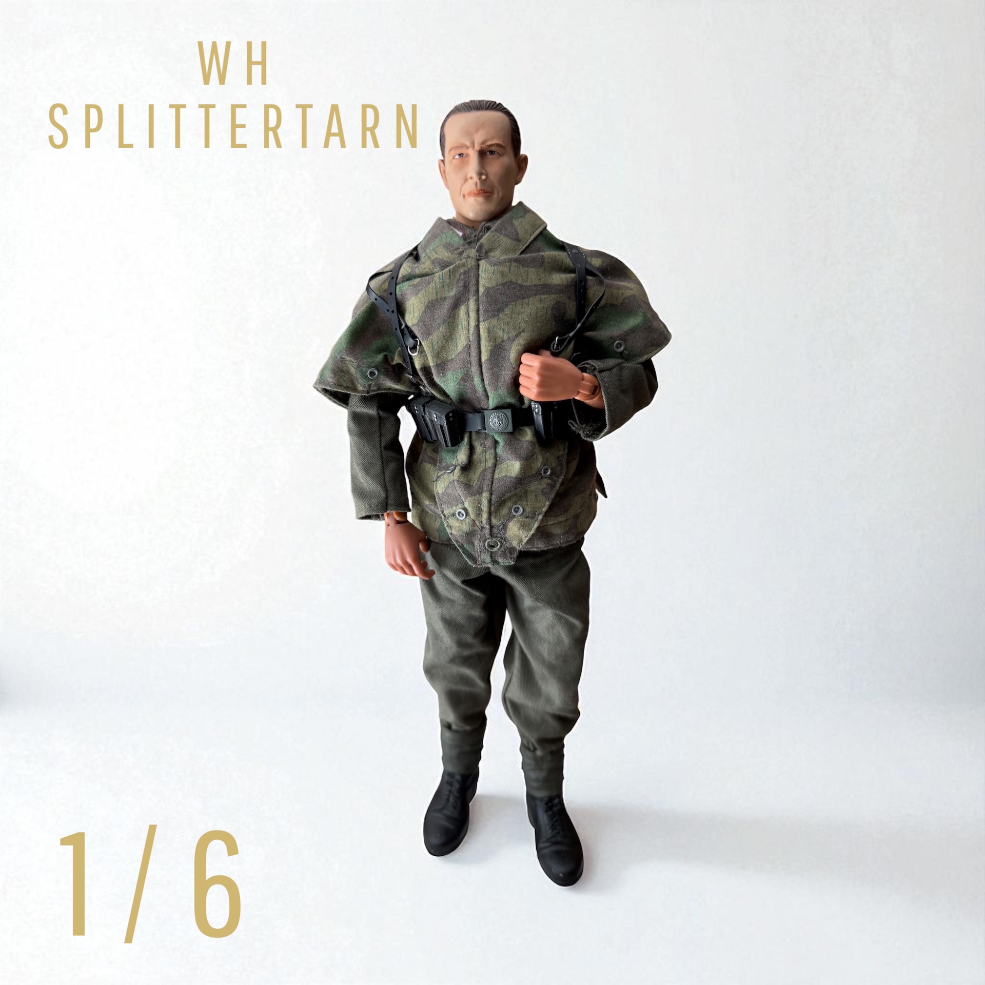  Product image 1 of the product “Wehrmacht Soldat Wolf 1/6 (No Box) ”