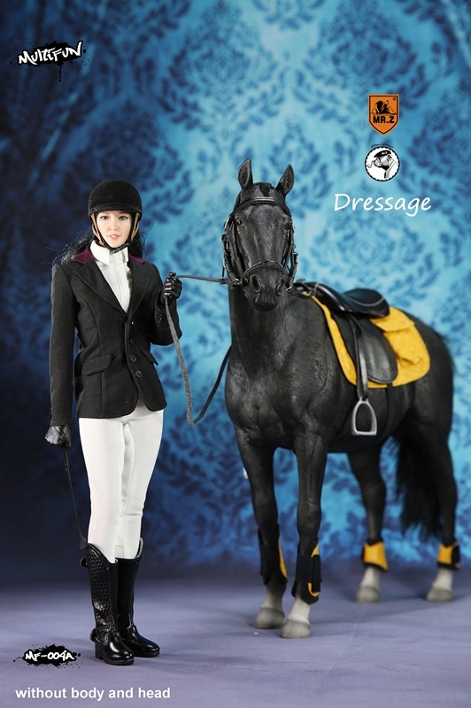  Product image 1 of the product “Horse - Hannoveraner - mit Dressuroutfit  1:6 ”