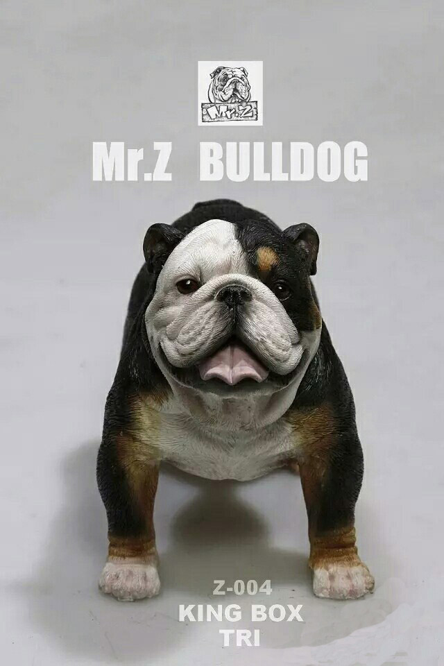  Artikelbild 1 des Artikels “English Bulldog King Box 1:6 “