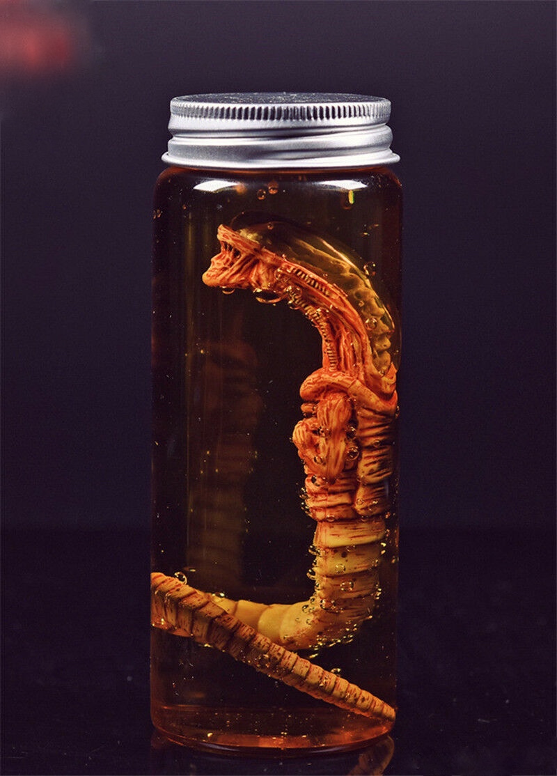  Product image 1 of the product “Alien - LARVA 1/6 Miniglas ”