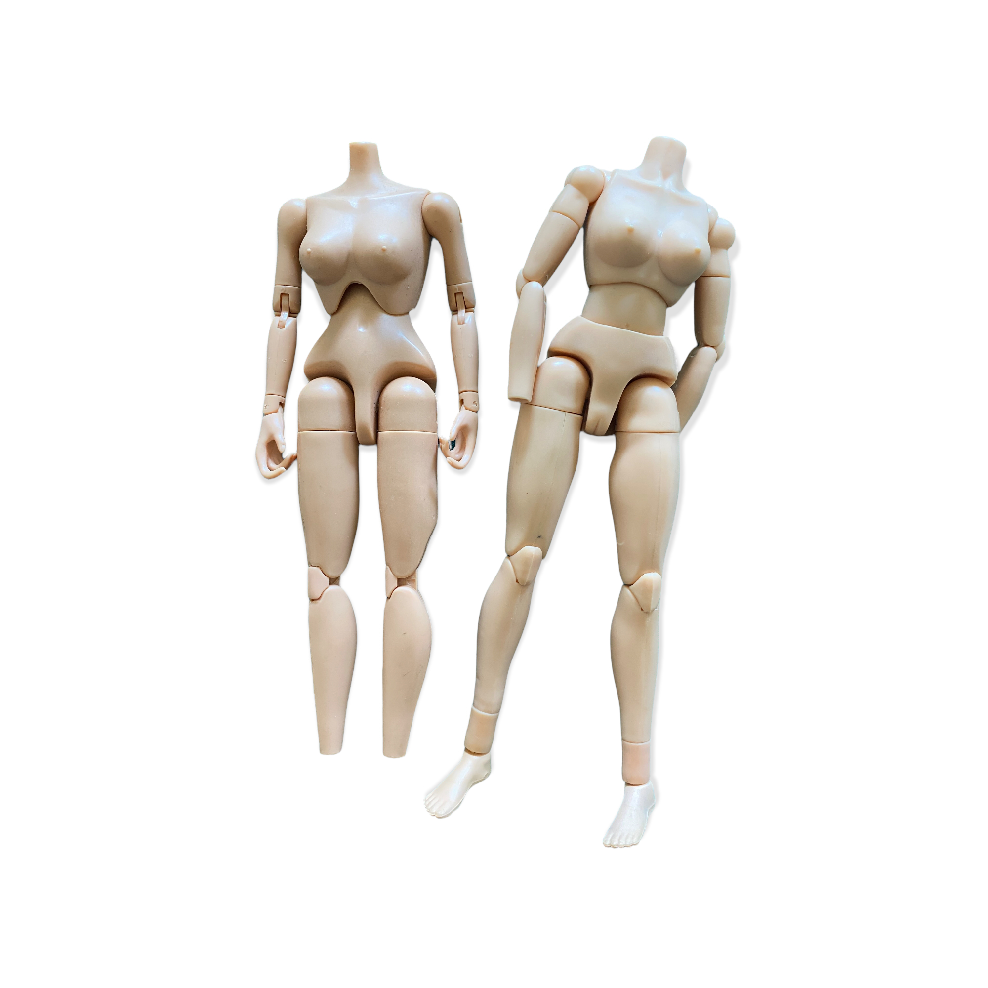 Product image 1 of the product “Femal Body 1/6 Set (2) ”