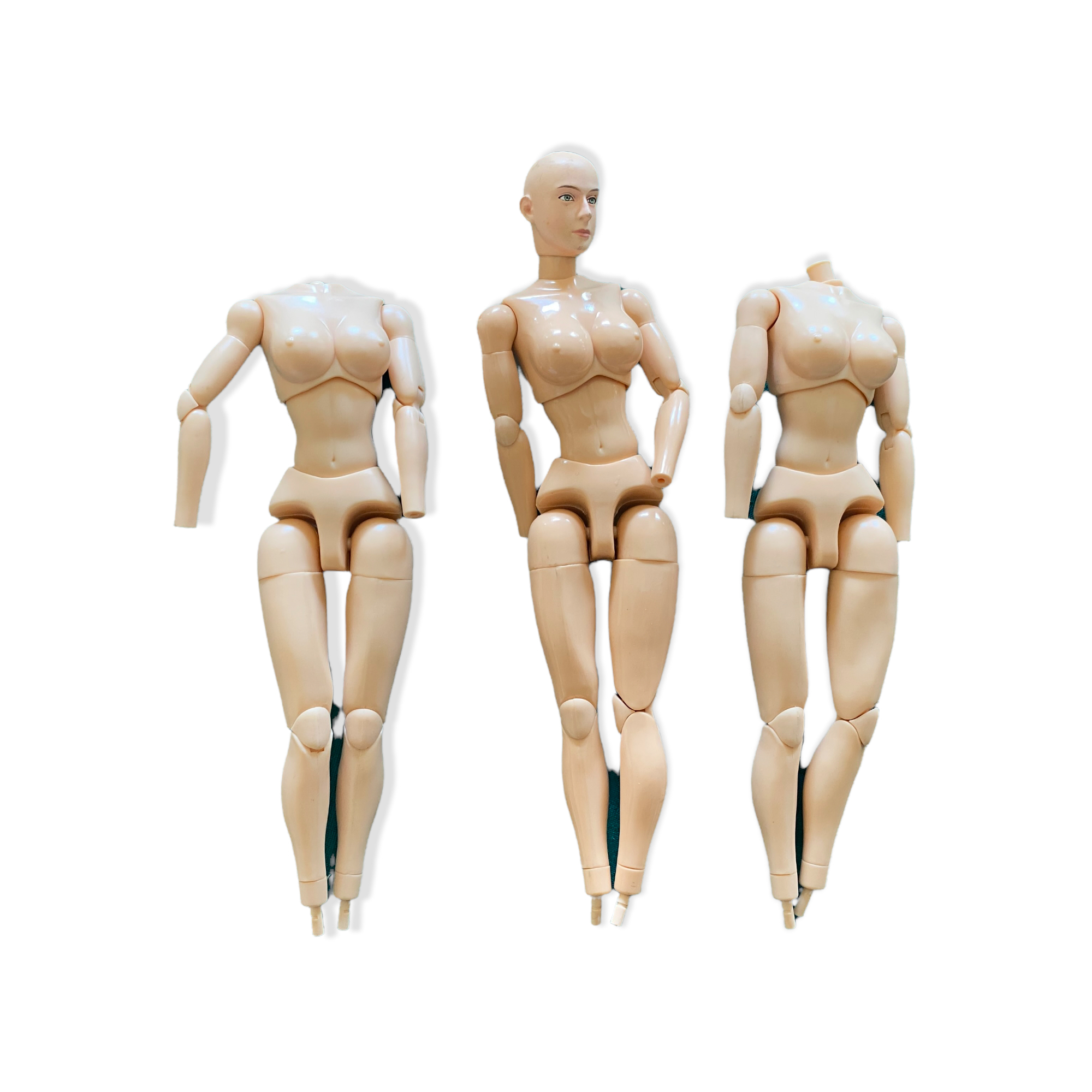  Artikelbild 1 des Artikels “Femal Body 1/6 Set (3) “