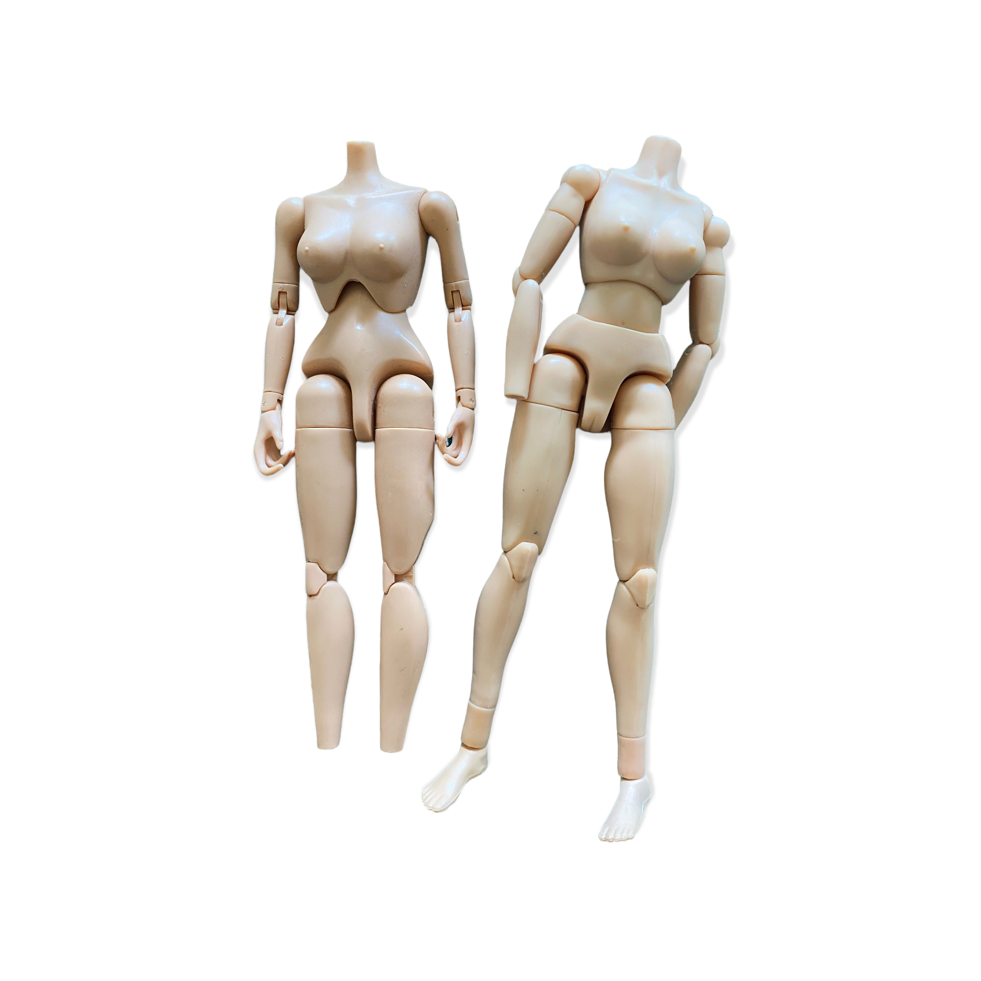  Product image 1 of the product “Femal Body 1/6 Set (2) ”