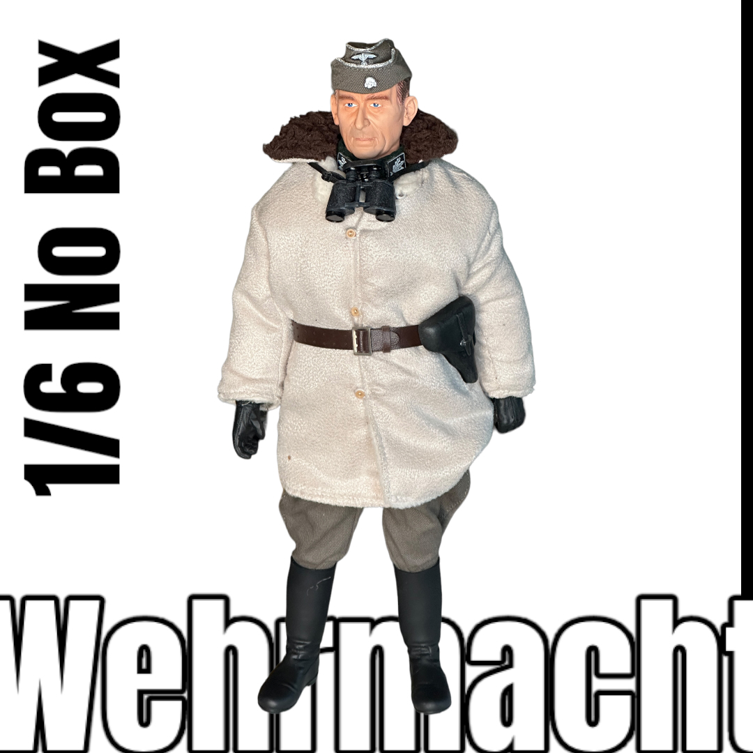  Product image 1 of the product “Paul Hausser  Operation Typhoon 1941 (No Box) 1/6 ”