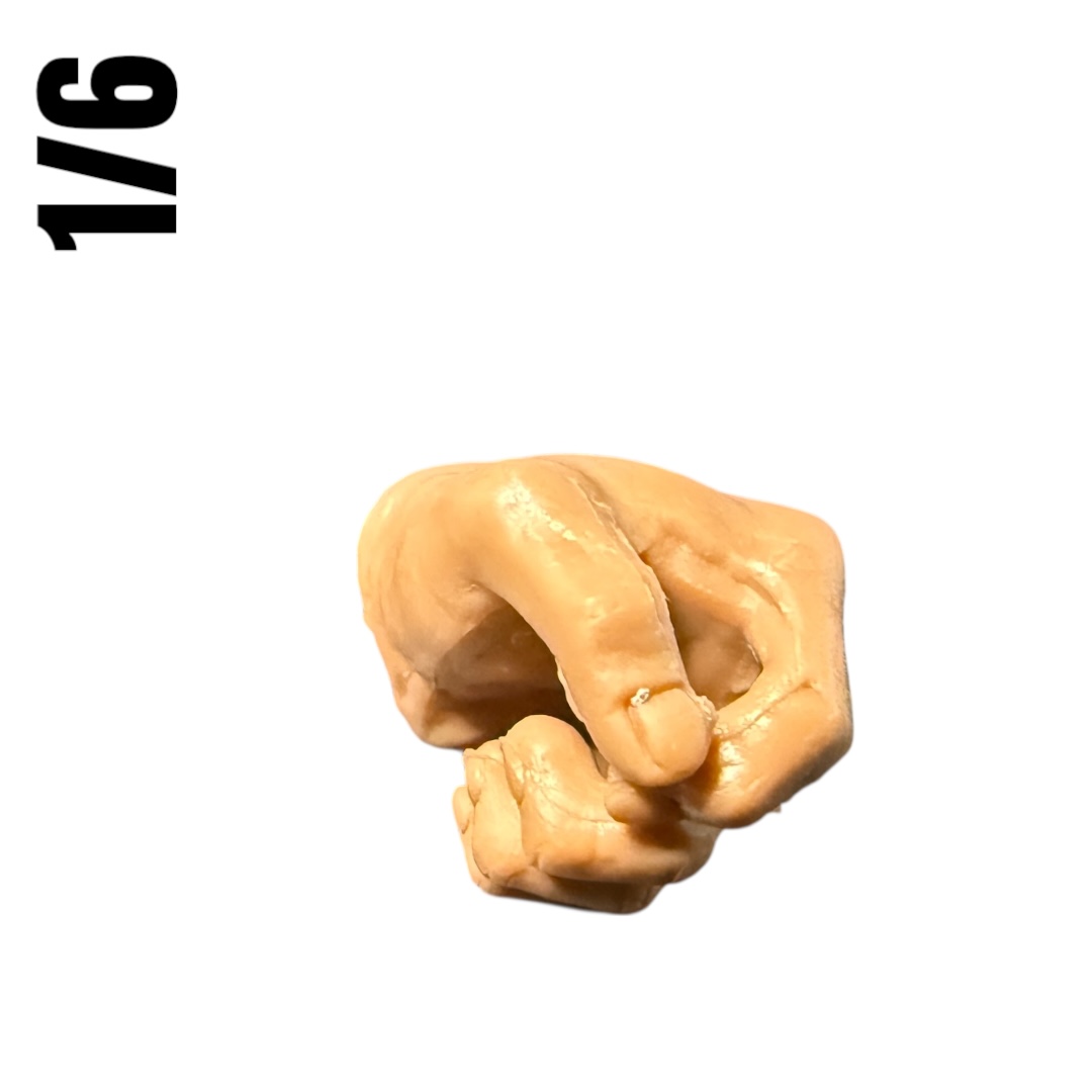  Product image 1 of the product “Left holding  Hands  1/6 ”