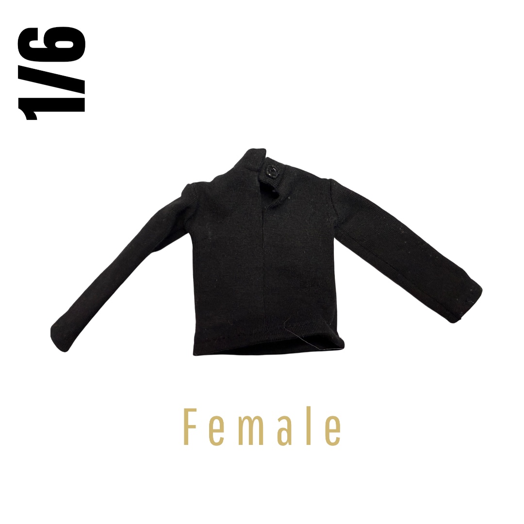  Artikelbild 1 des Artikels “Female Pullover 1/6 “