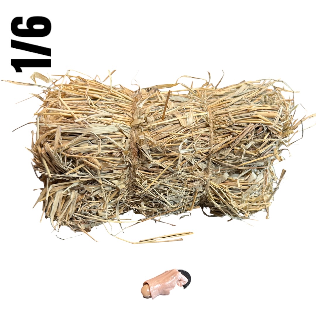  Product image 1 of the product “Hey  Ballen XL 1:6 ”