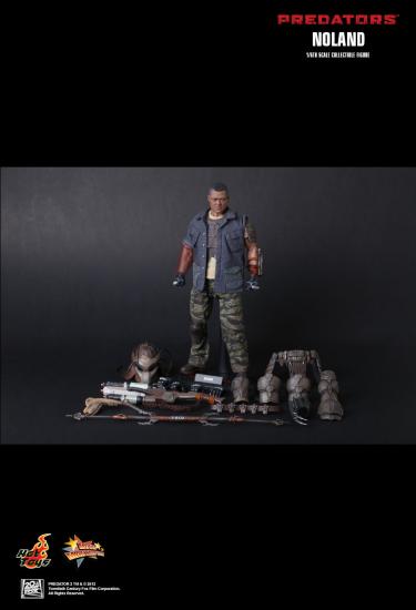 Artikelbild 1 des Artikels “Predators Noland “
