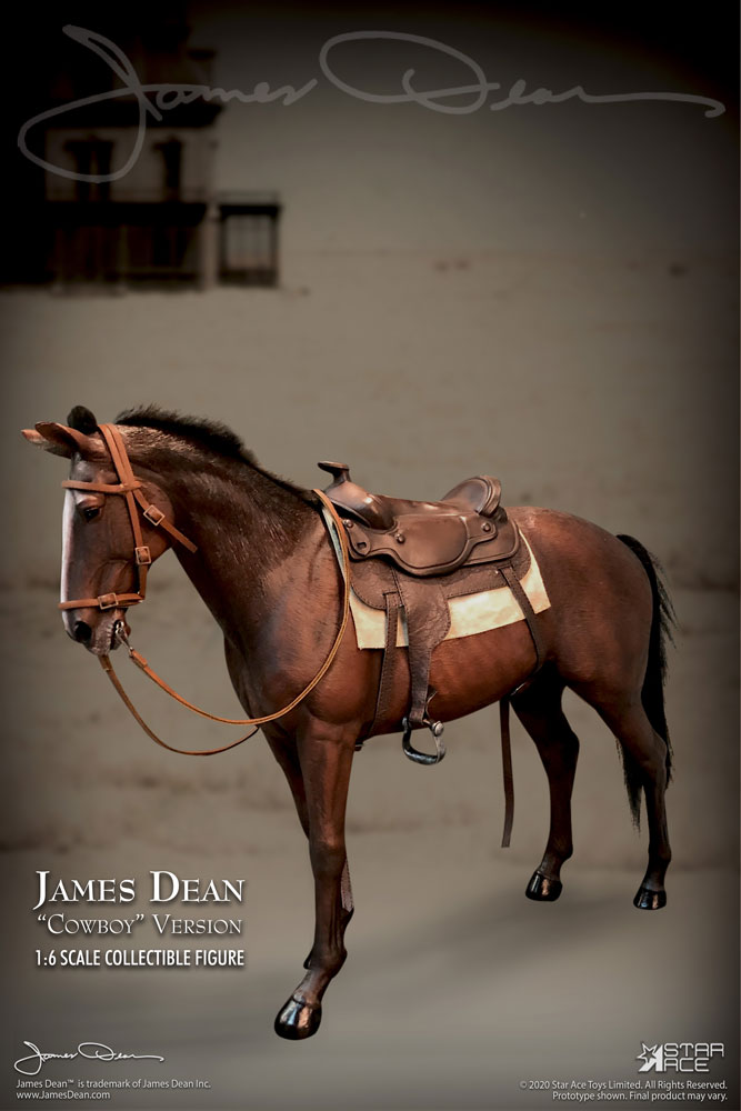  Product image 1 of the product “James Dean Horse Accessories Set (Marron) ”