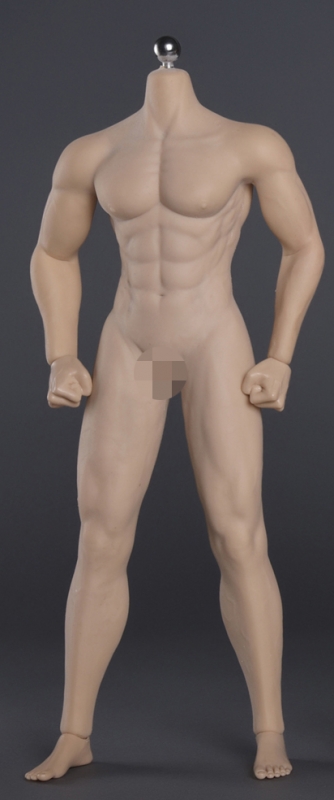  Artikelbild 1 des Artikels “Seamless Caucasian Seamless Male Body 1:6 “