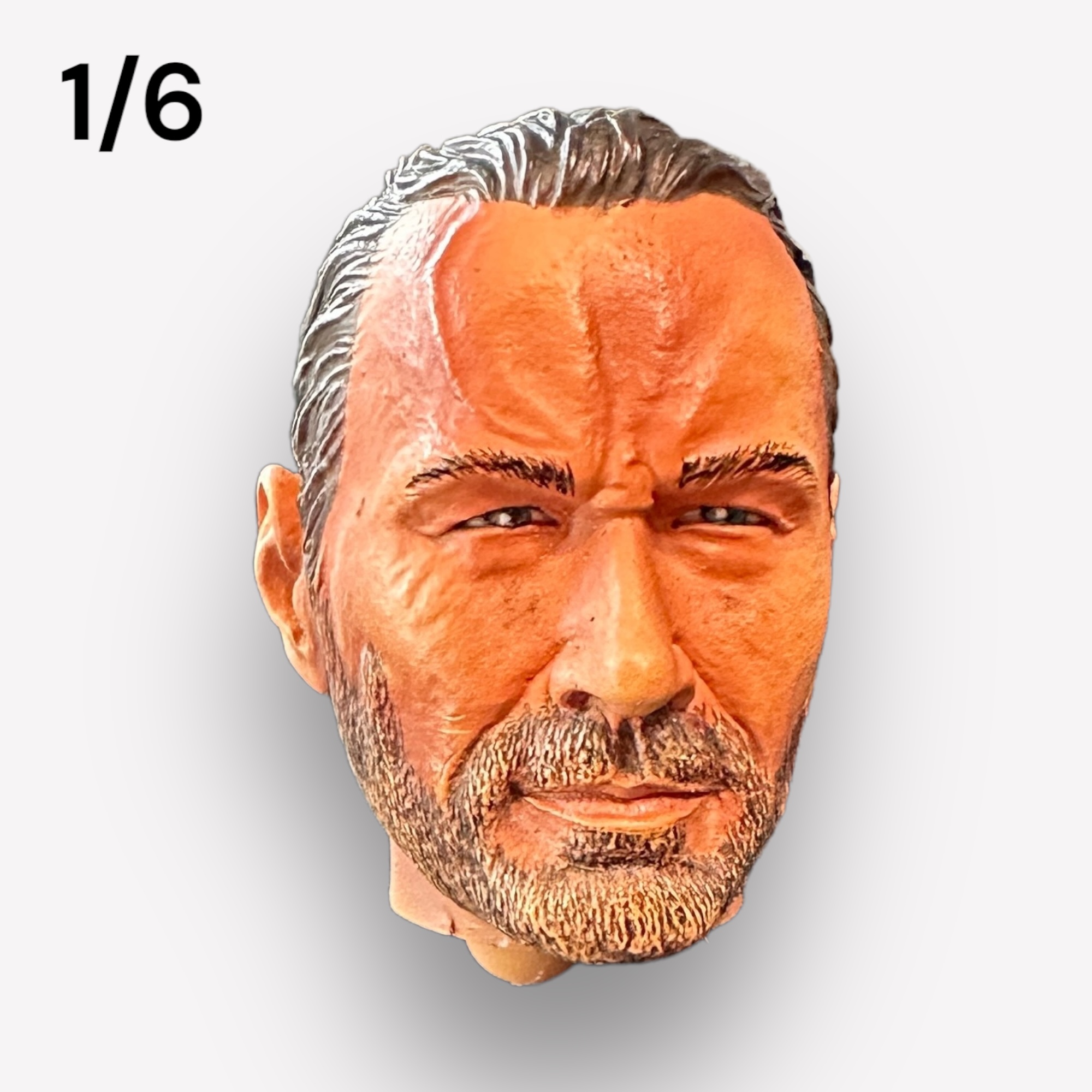  Product image 1 of the product “Arno Head 1/6 ”
