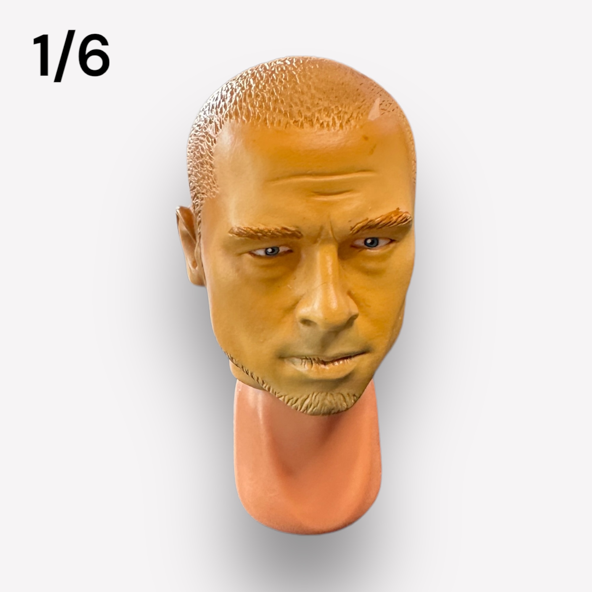  Product image 1 of the product “PIT Kopf 1/6 ”