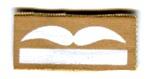  Artikelbild 1 des Artikels “Abzeichen für Tarnuniform Leutnant “