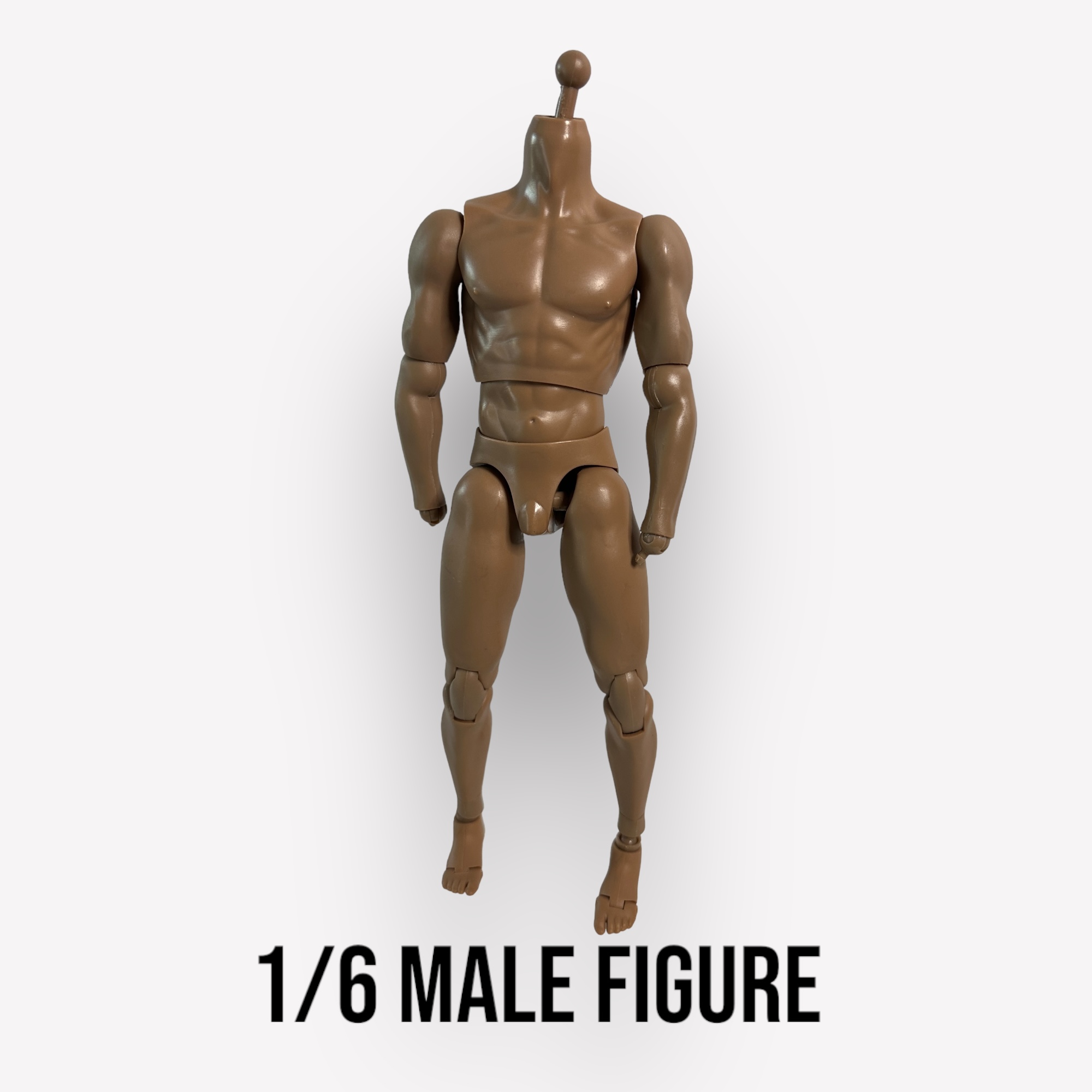  Artikelbild 1 des Artikels “Costum Muscular Body 180 Basic “