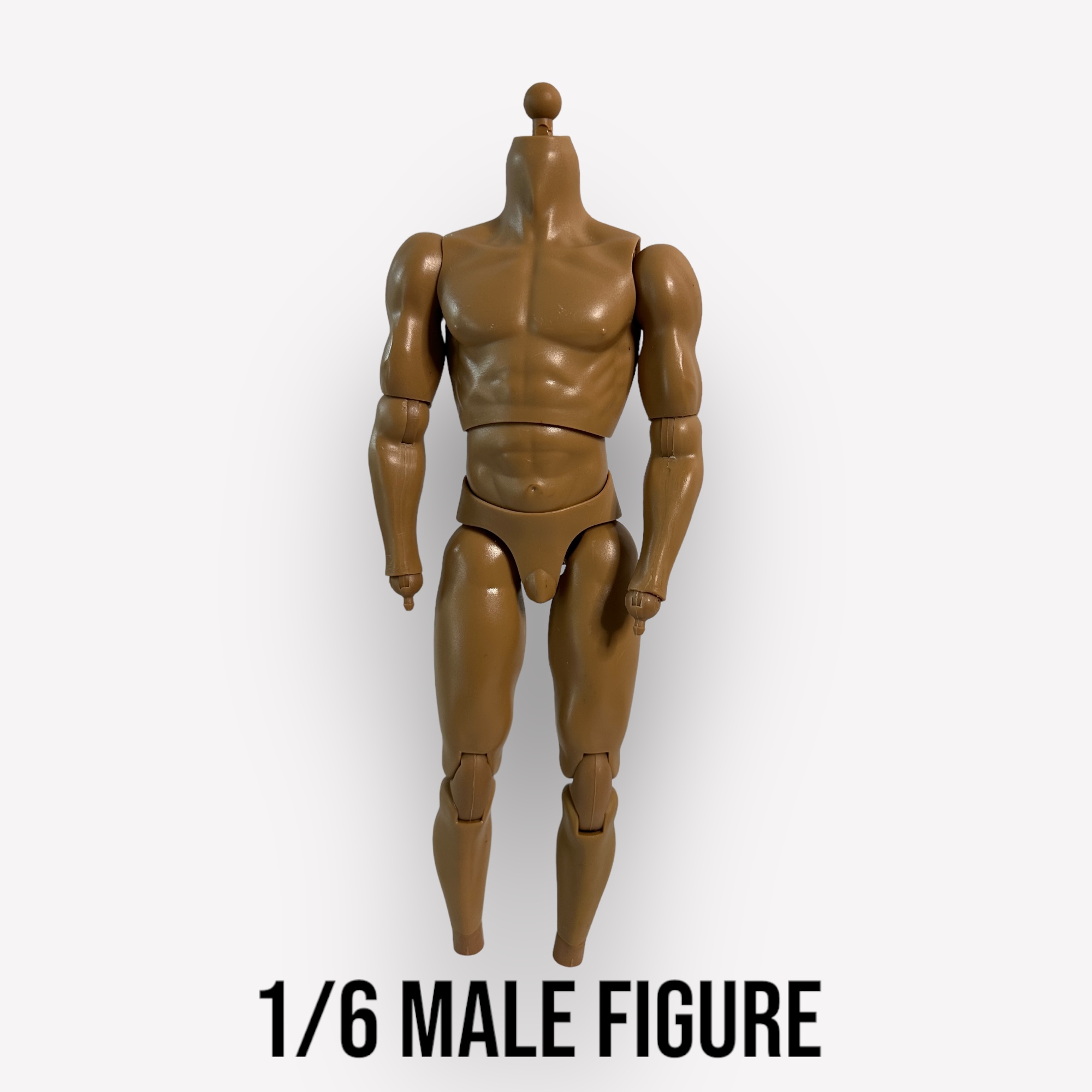  Artikelbild 1 des Artikels “Costum Muscular Body 180 Basic “