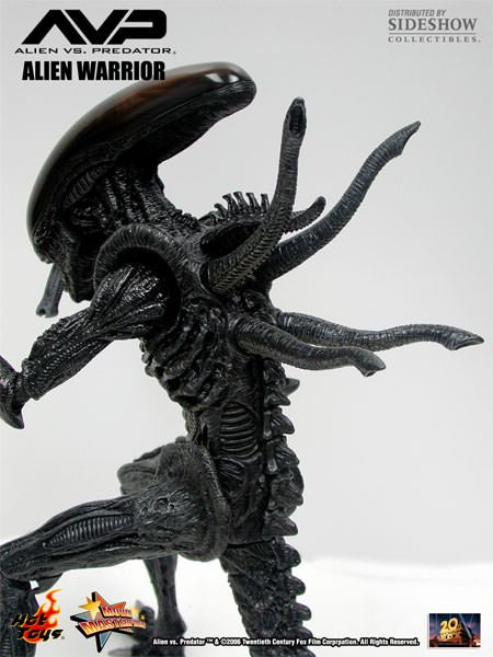  Artikelbild 1 des Artikels “sixth scale Alien Warrier 1/6 “
