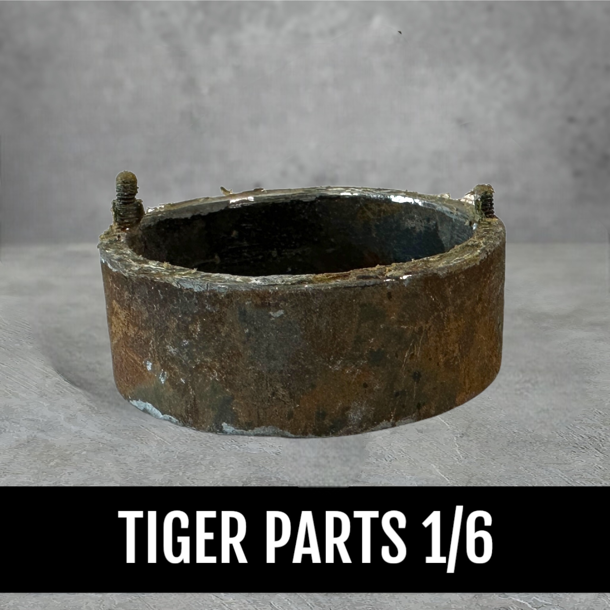  Product image 1 of the product “Tiger 1  Antenna Ring used Optic 1/6 ”
