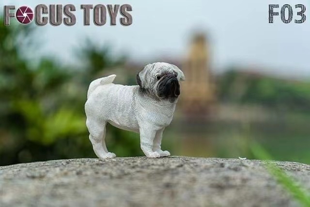  Artikelbild 1 des Artikels “French Bulldog (White) 1:6 “