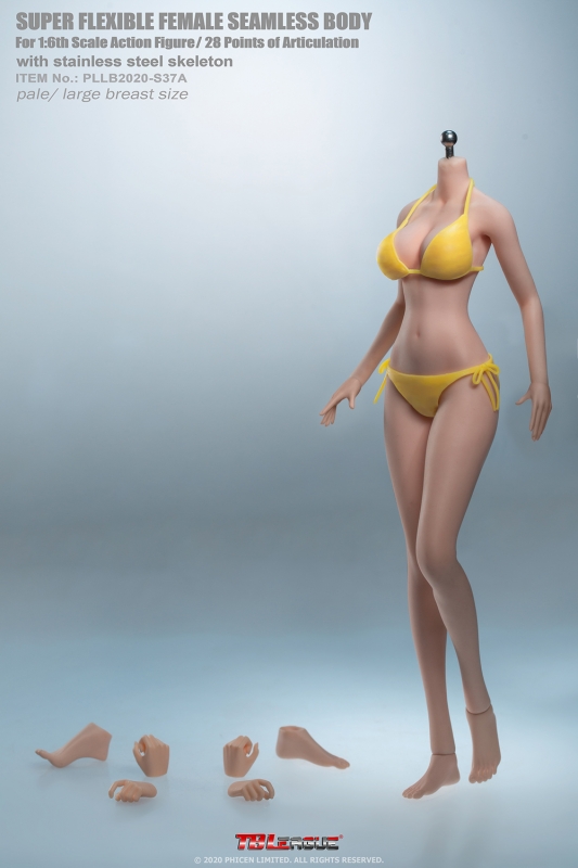  Artikelbild 1 des Artikels “Phicen Body Anime - grosse Oberweite - Hautfarbe Pale “