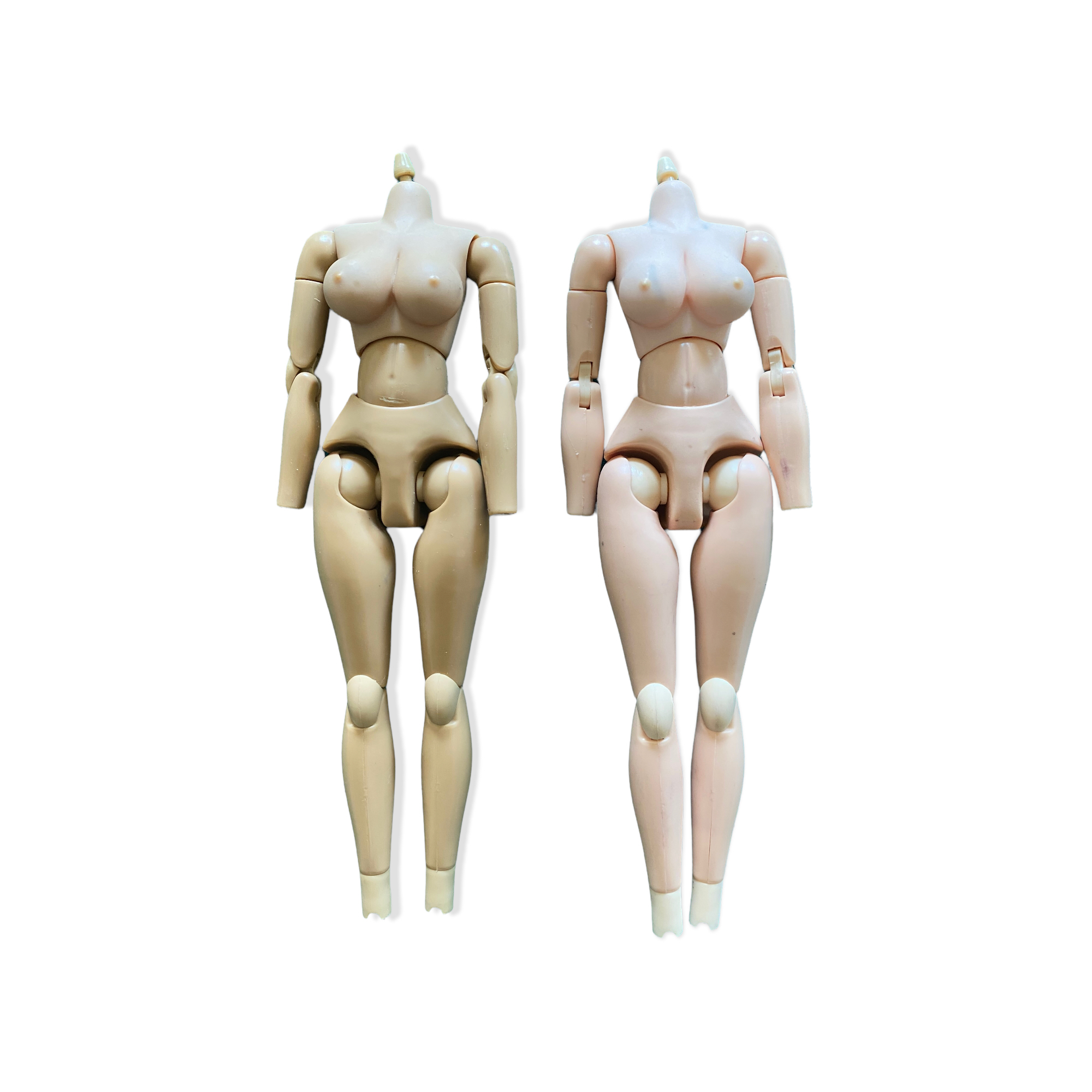  Artikelbild 1 des Artikels “Female Bodie in 1/6 “